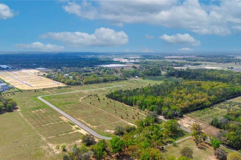 Terrain à vendre à Apopka, Floride № 884885 - photo 25
