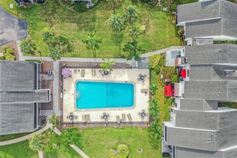 Condo in Tarpon Springs, Florida, 1 bedroom  № 1904635 - photo 27