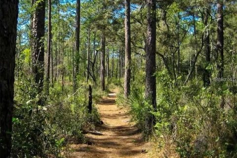 Land in Paisley, Florida № 2161370 - photo 4