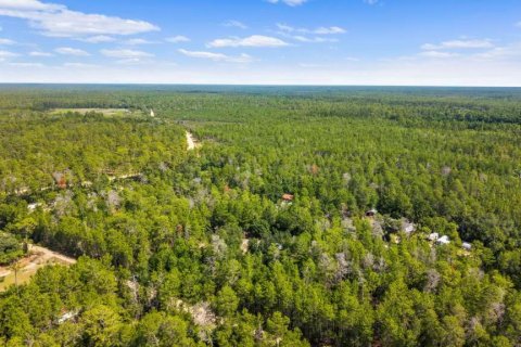 Land in Paisley, Florida № 2161370 - photo 6