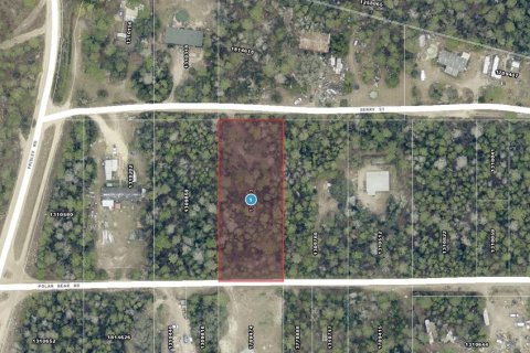 Land in Paisley, Florida № 2161370 - photo 2