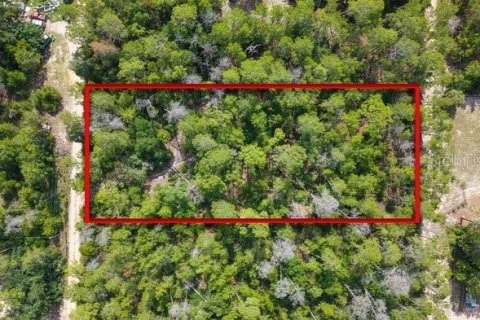 Land in Paisley, Florida № 2161370