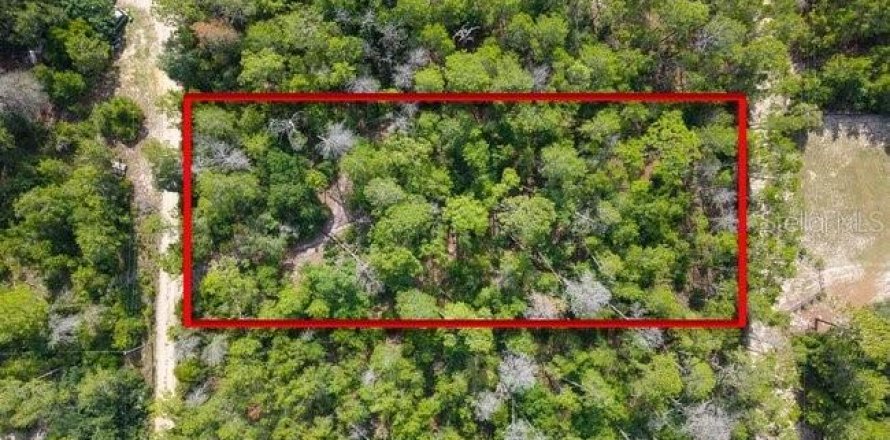 Land in Paisley, Florida № 2161370