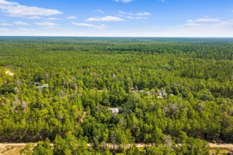 Land in Paisley, Florida № 2161370 - photo 5
