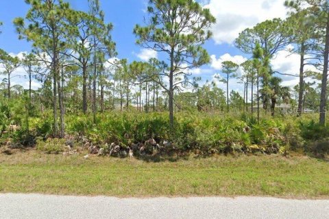 Land in Port Charlotte, Florida № 2228458 - photo 2