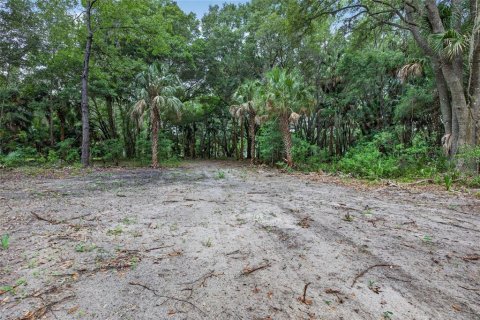 Terreno en venta en Citra, Florida № 2112151 - foto 8