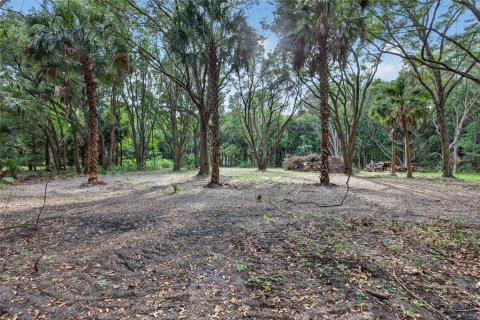 Terreno en venta en Citra, Florida № 2112151 - foto 16