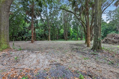 Terreno en venta en Citra, Florida № 2112151 - foto 9