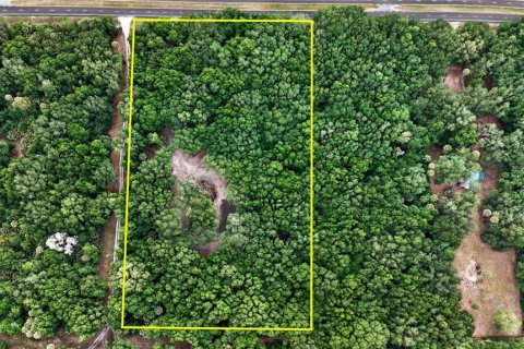 Terreno en venta en Citra, Florida № 2112151 - foto 29