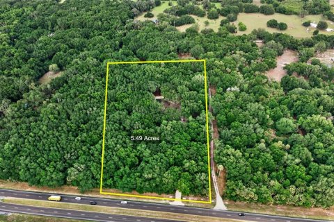 Terreno en venta en Citra, Florida № 2112151 - foto 22