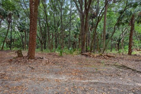 Terreno en venta en Citra, Florida № 2112151 - foto 11