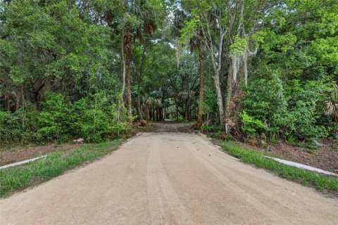 Land in Citra, Florida № 2112151