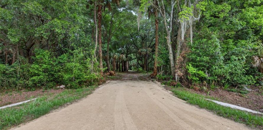 Terreno en Citra, Florida № 2112151