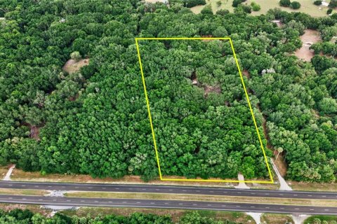Terreno en venta en Citra, Florida № 2112151 - foto 23