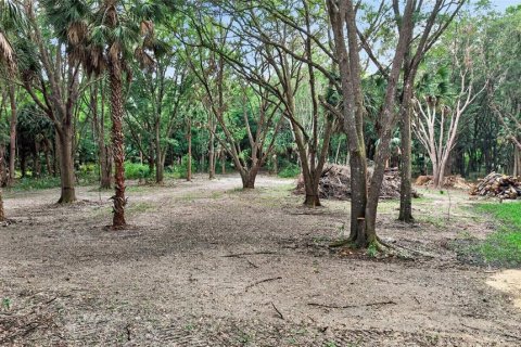 Terreno en venta en Citra, Florida № 2112151 - foto 30