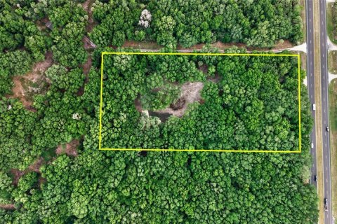 Terreno en venta en Citra, Florida № 2112151 - foto 28