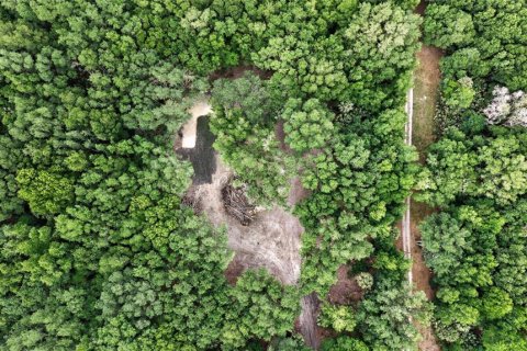 Terreno en venta en Citra, Florida № 2112151 - foto 20