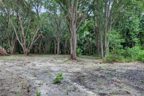Terreno en venta en Citra, Florida № 2112151 - foto 14