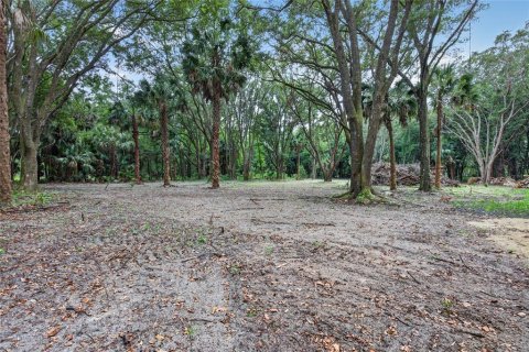 Terreno en venta en Citra, Florida № 2112151 - foto 10