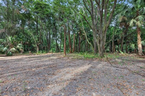 Terreno en venta en Citra, Florida № 2112151 - foto 18