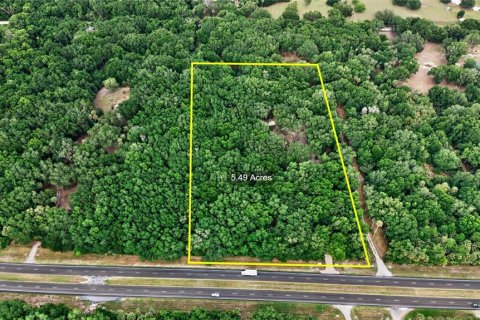 Terreno en venta en Citra, Florida № 2112151 - foto 24