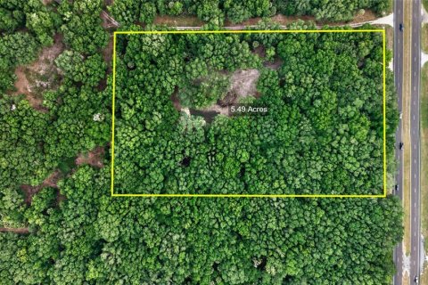 Terreno en venta en Citra, Florida № 2112151 - foto 27