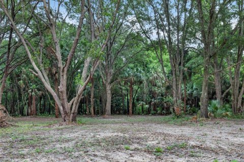 Terreno en venta en Citra, Florida № 2112151 - foto 15