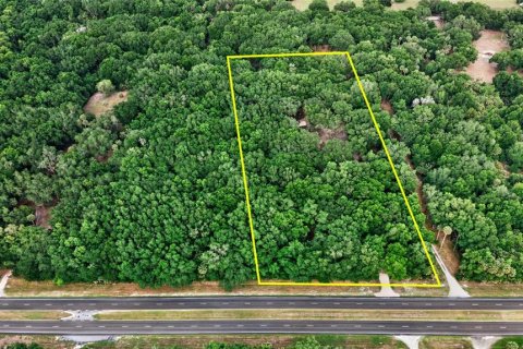 Terreno en venta en Citra, Florida № 2112151 - foto 3