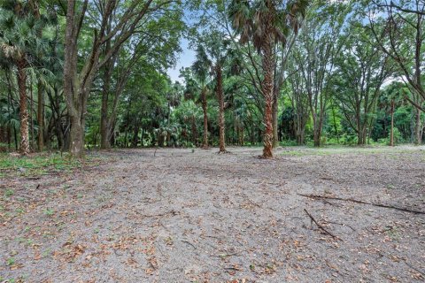 Terreno en venta en Citra, Florida № 2112151 - foto 6