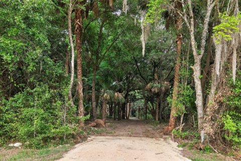 Terreno en venta en Citra, Florida № 2112151 - foto 2