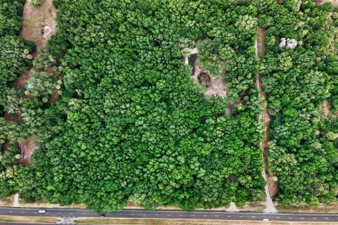 Terreno en venta en Citra, Florida № 2112151 - foto 25