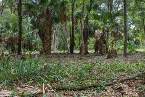 Terreno en venta en Citra, Florida № 2112151 - foto 19