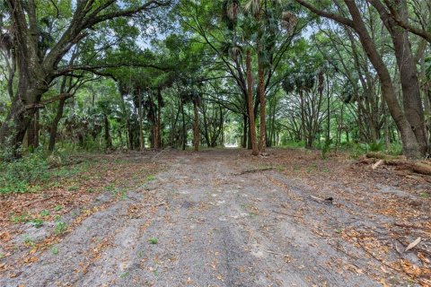 Terreno en venta en Citra, Florida № 2112151 - foto 4
