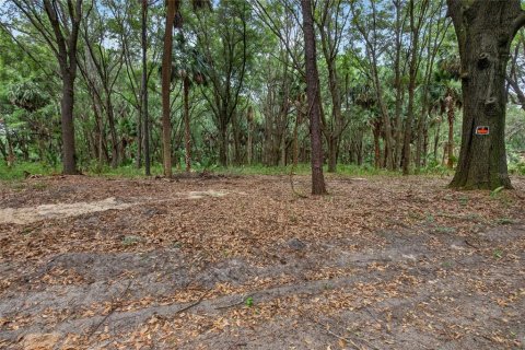 Terreno en venta en Citra, Florida № 2112151 - foto 12