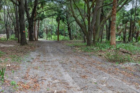 Terreno en venta en Citra, Florida № 2112151 - foto 5