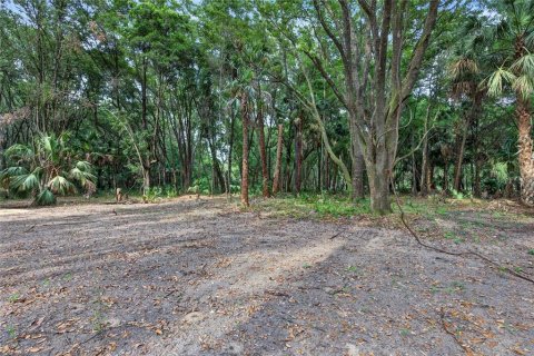 Terreno en venta en Citra, Florida № 2112151 - foto 17