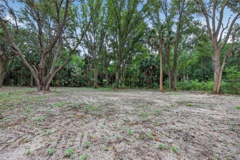 Terreno en venta en Citra, Florida № 2112151 - foto 7