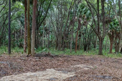 Terreno en venta en Citra, Florida № 2112151 - foto 13