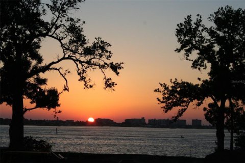 Land in Clearwater, Florida № 2123957 - photo 6