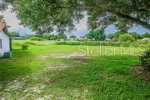 Land in Lakeland, Florida № 1575096 - photo 3