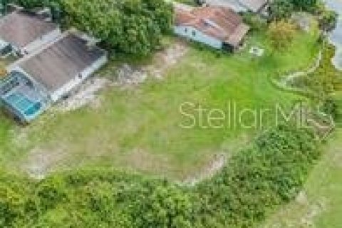 Land in Lakeland, Florida № 1575096 - photo 1