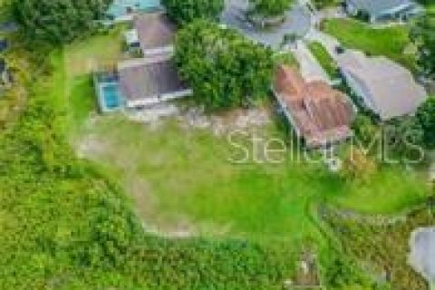 Land in Lakeland, Florida № 1575096 - photo 2