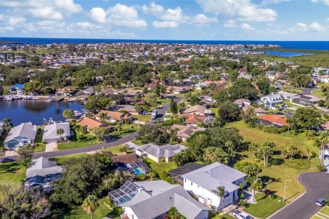 Villa ou maison à vendre à New Port Richey, Floride: 2 chambres, 140.84 m2 № 2431047 - photo 16