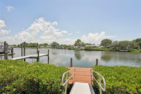 Condo in Apollo Beach, Florida, 2 bedrooms  № 1894928 - photo 30