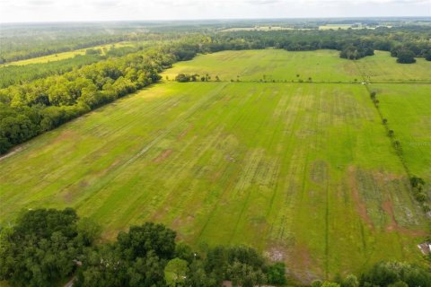 Terrain à vendre à Bunnell, Floride № 2408670 - photo 5