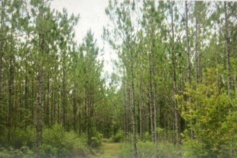 Terreno en venta en Macclenny, Florida № 841045 - foto 1