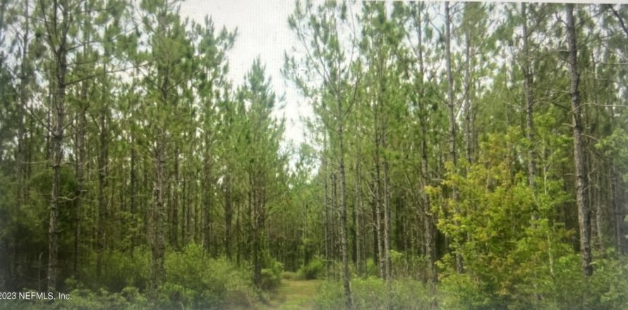 Terreno en Macclenny, Florida № 841045