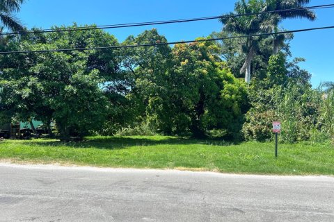 Commercial property in Pahokee, Florida № 2252015
