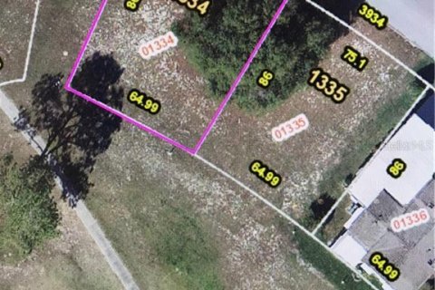 Land in Zellwood, Florida № 2162977