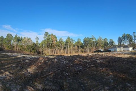 Terreno en venta en Ocala, Florida № 1532523 - foto 4